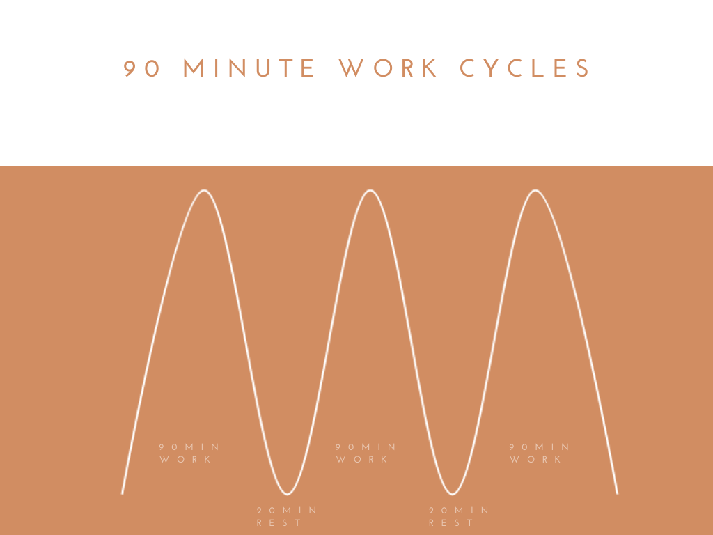 90 minute work cycle