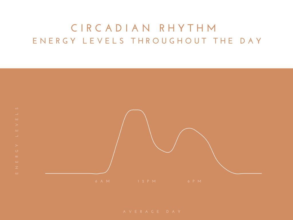 circadian rhythm graph